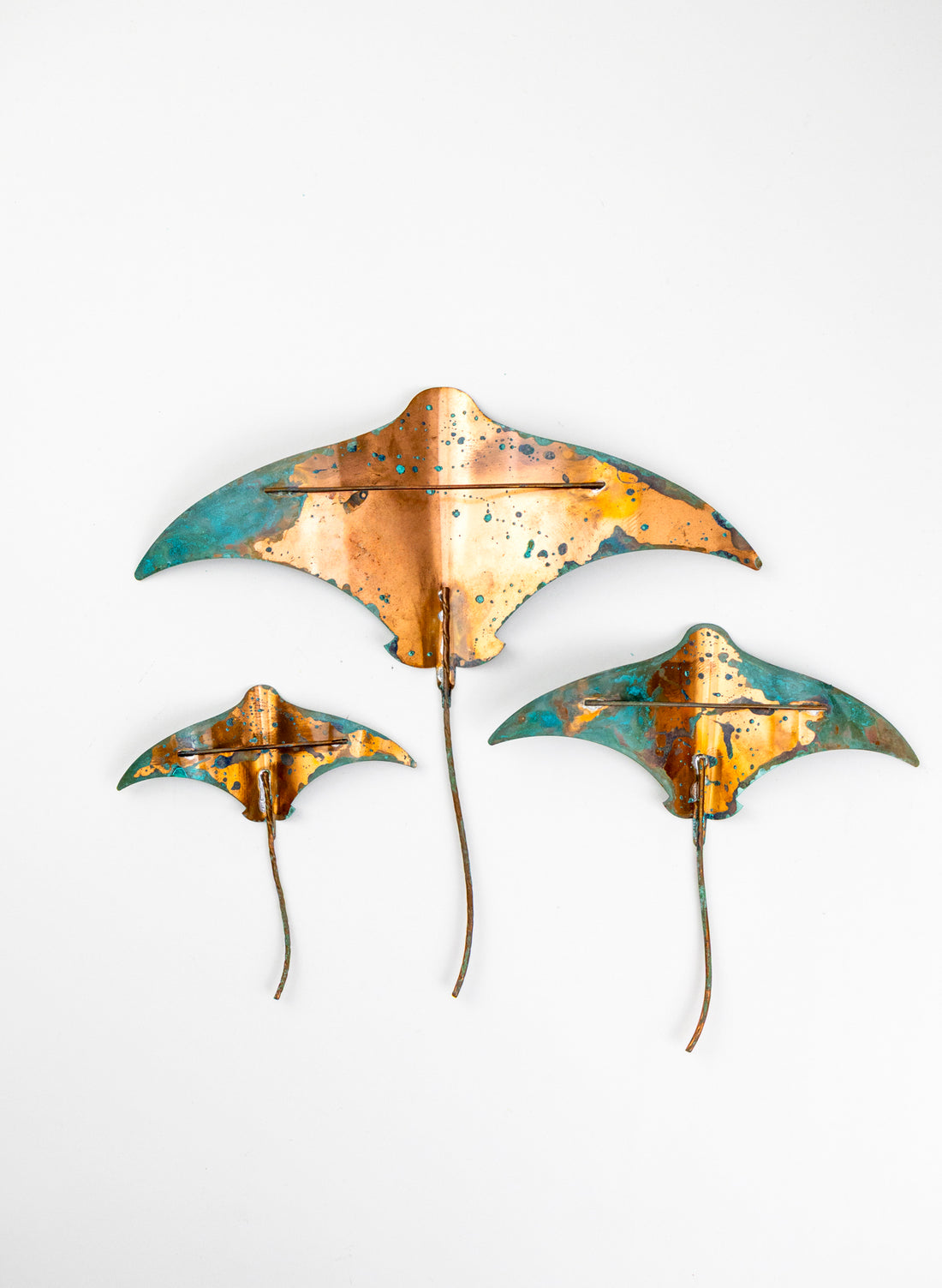 Stingray - Set of 3