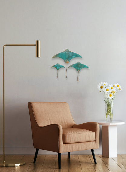 Stingray - Set of 3