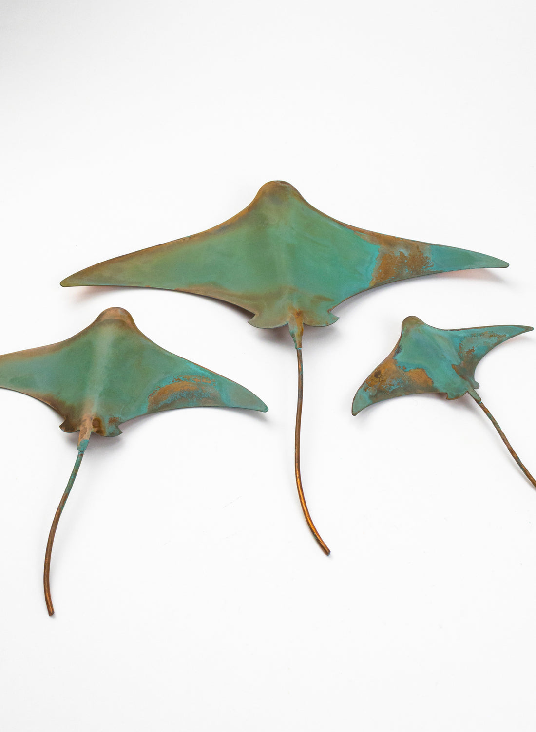 Stingray - Set of 3