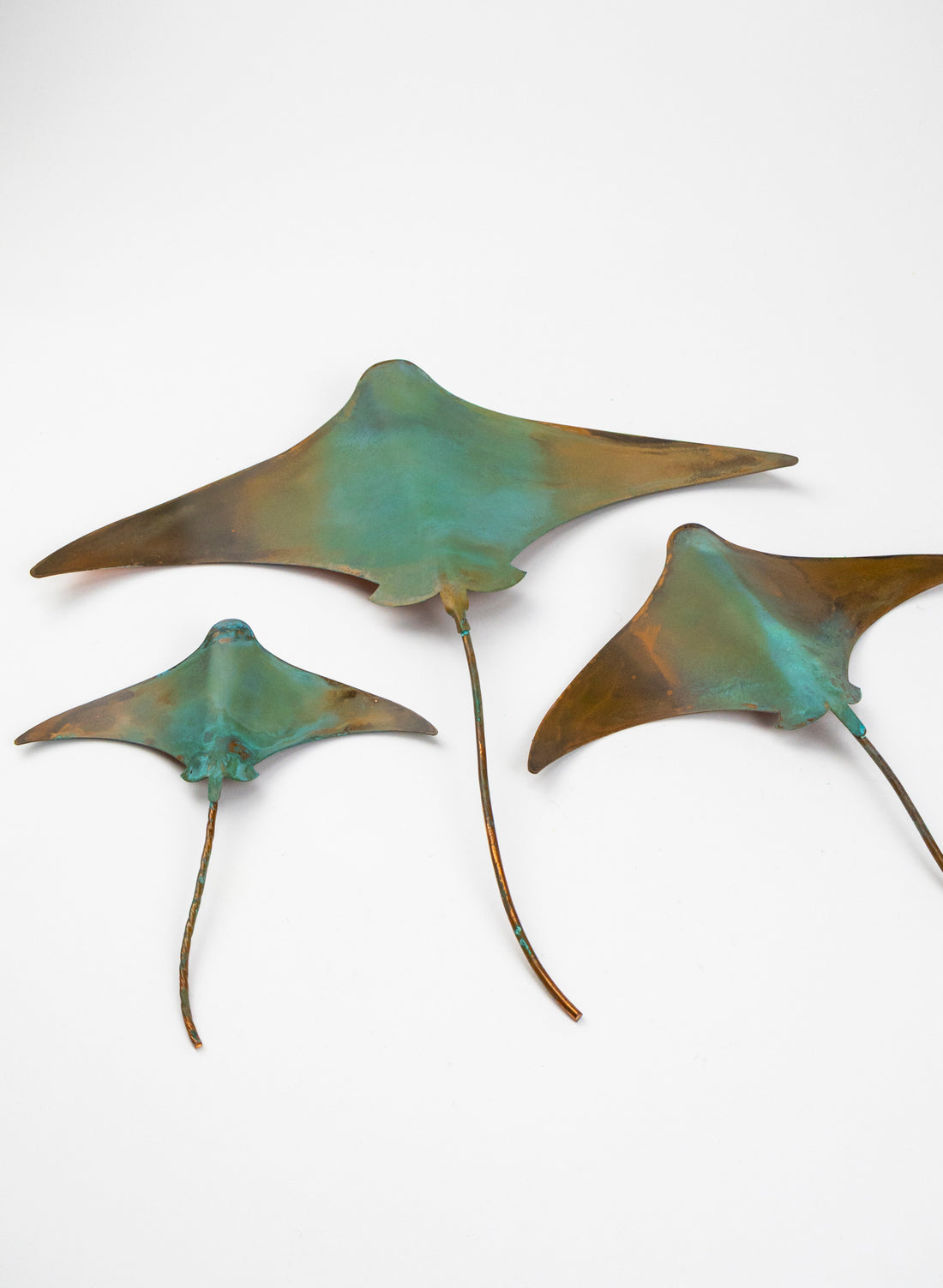 Stingray - Set of 3