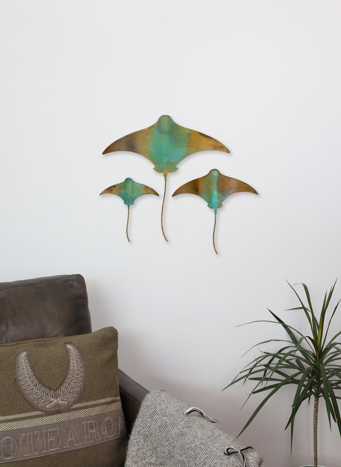 Stingray - Set of 3