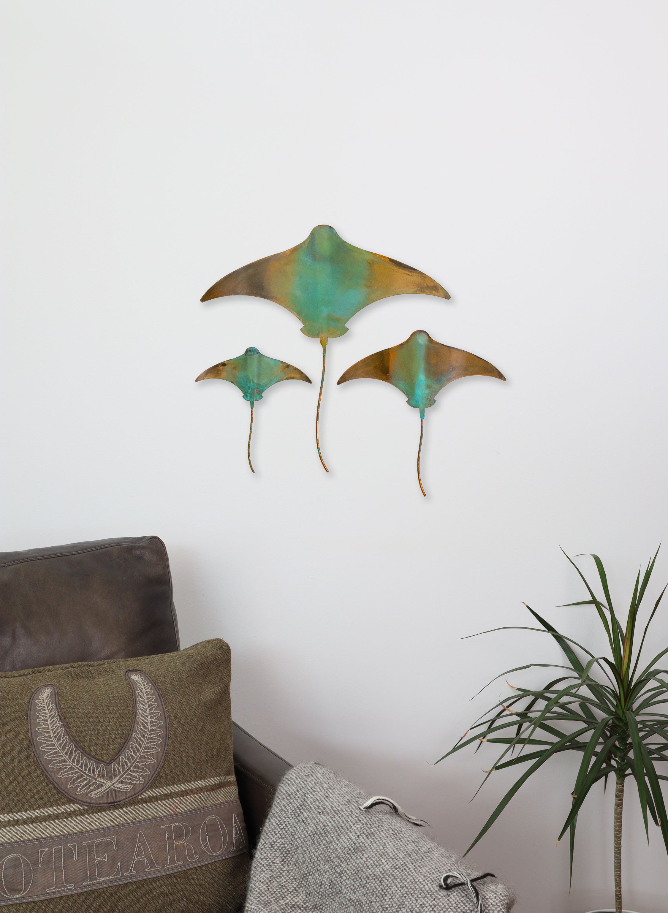 Stingray - Set of 3