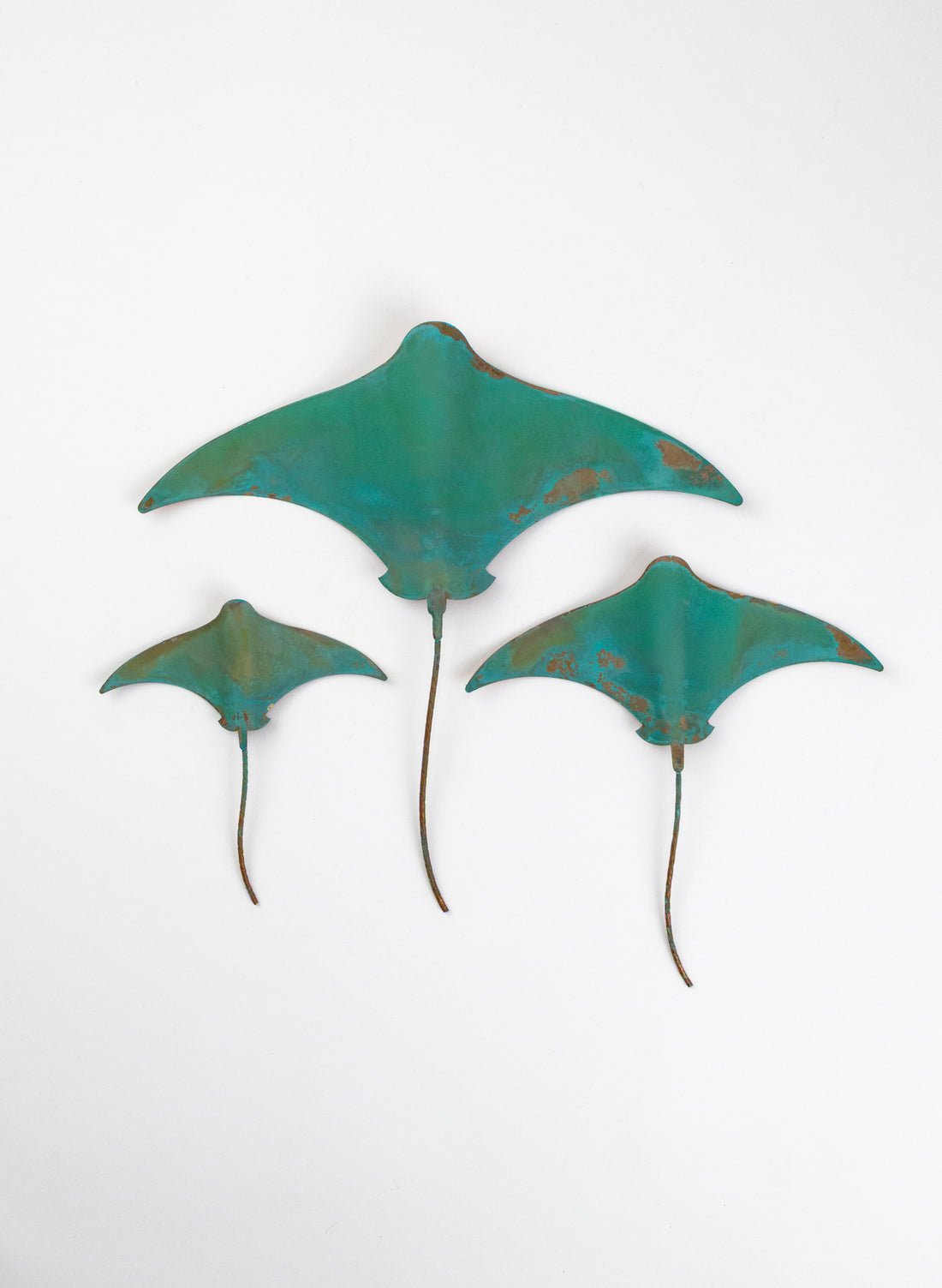 Stingray - Set of 3
