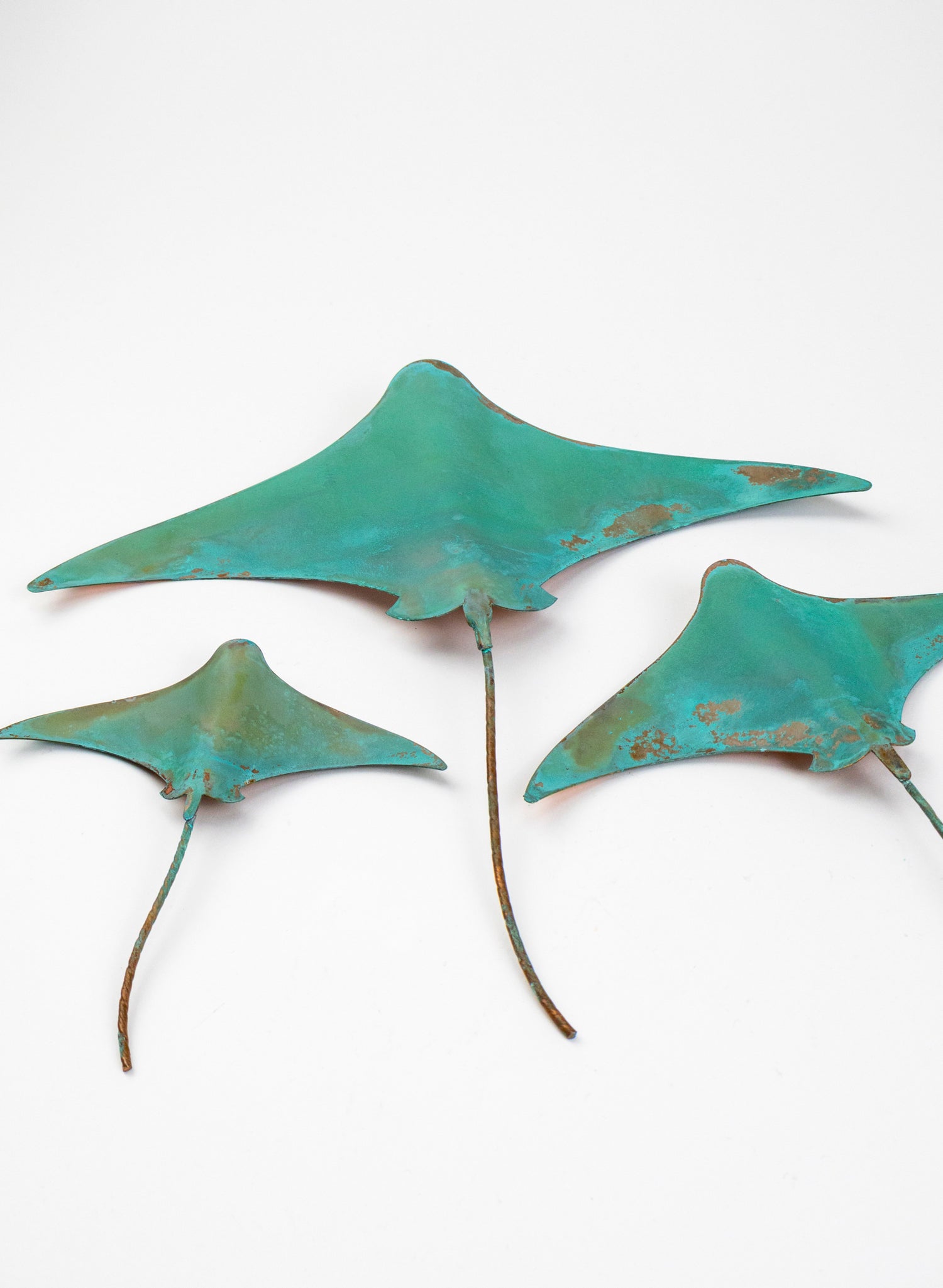 Stingray - Set of 3