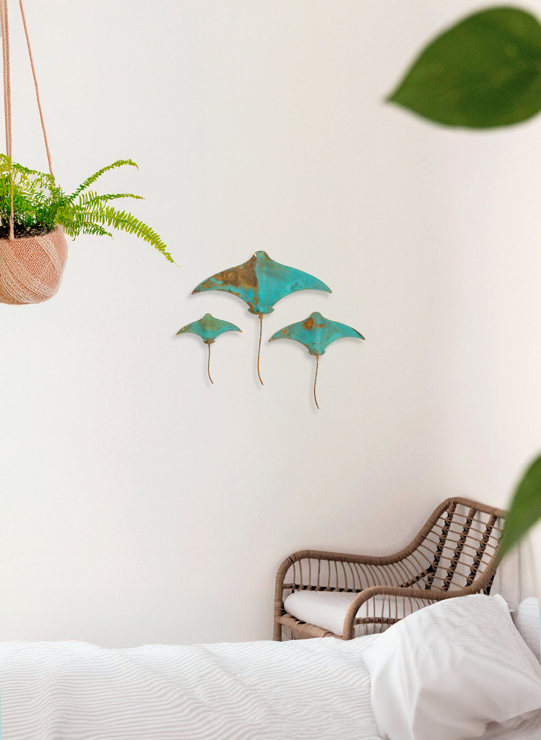 Stingray - Set of 3
