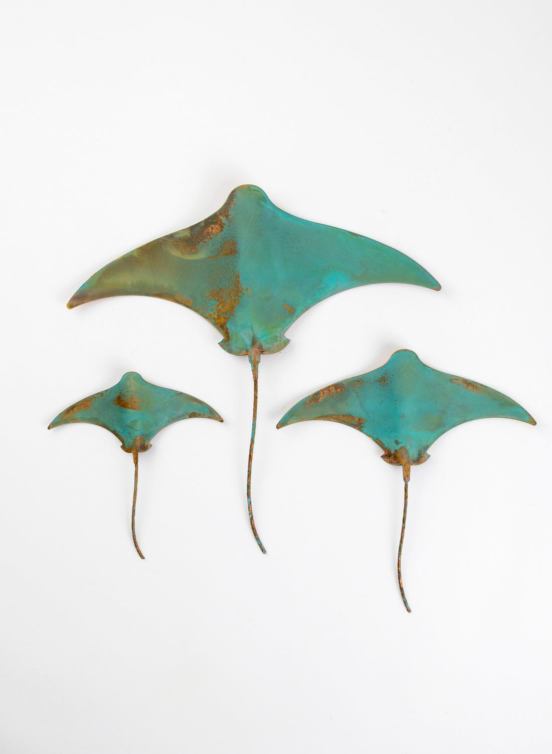 Stingray - Set of 3
