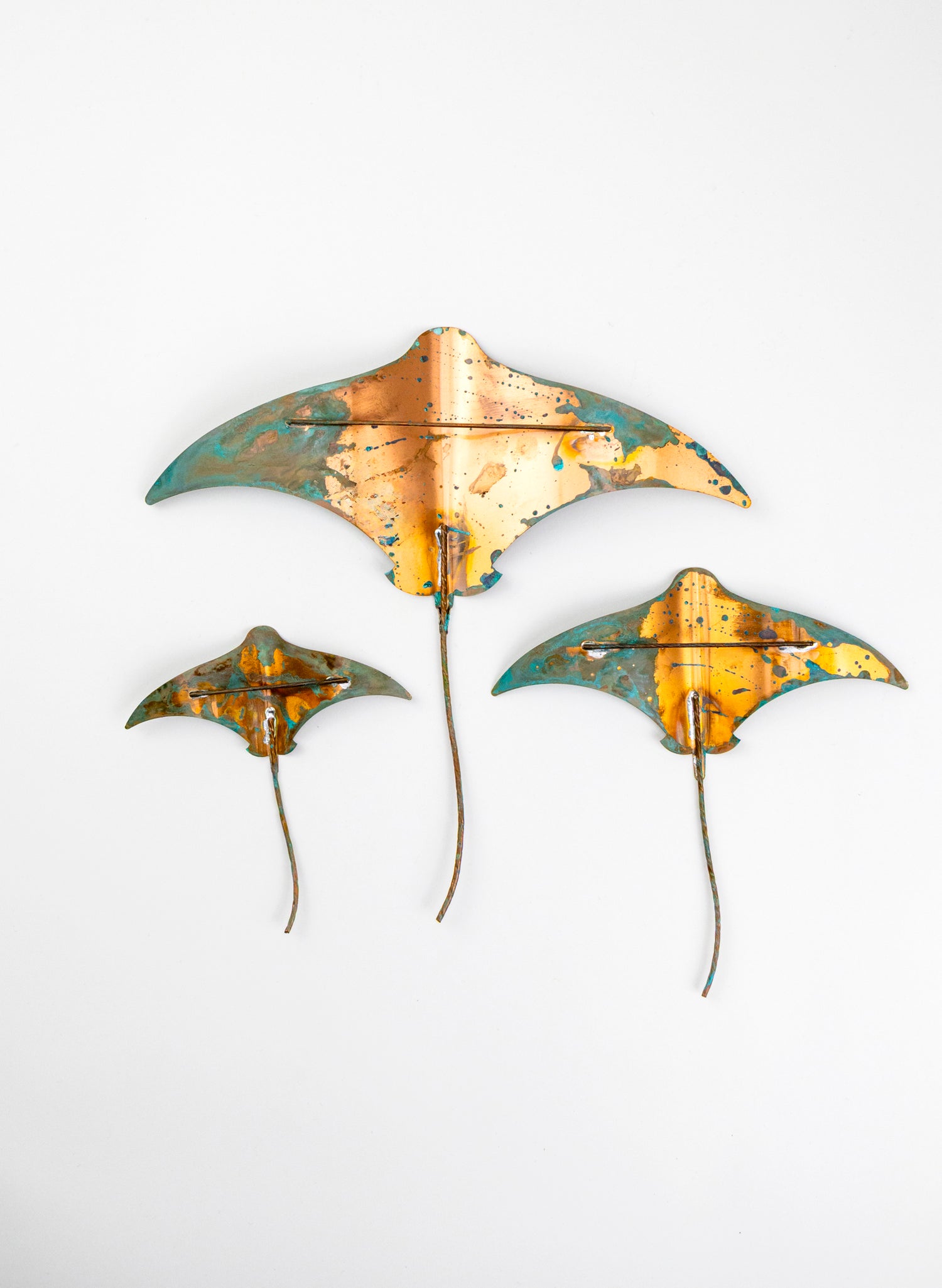 Stingray - Set of 3