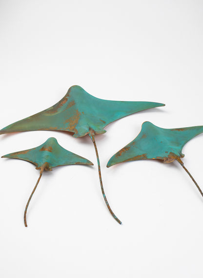 Stingray - Set of 3