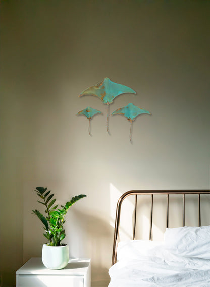 Stingray - Set of 3