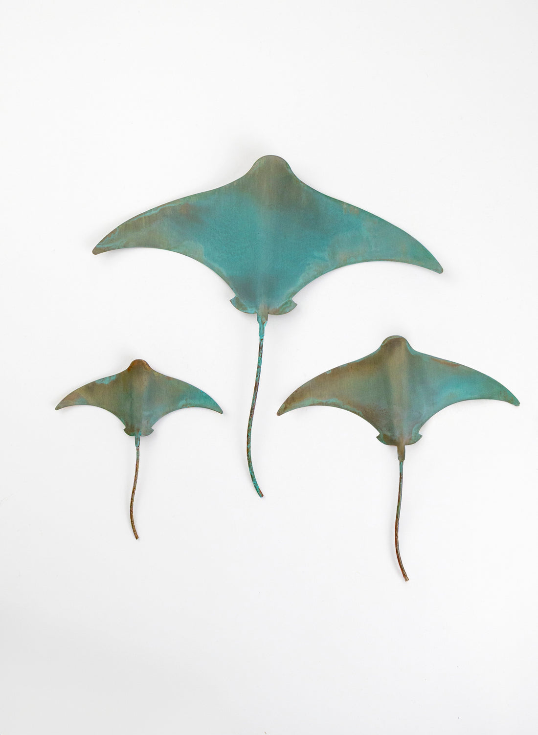 Stingray - Set of 3