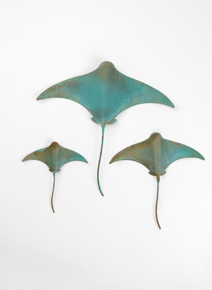 Stingray - Set of 3