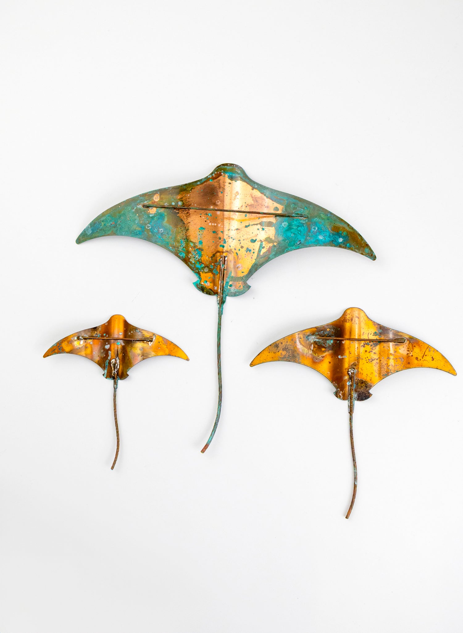 Stingray - Set of 3