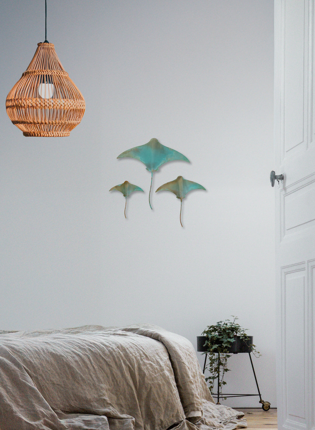 Stingray - Set of 3