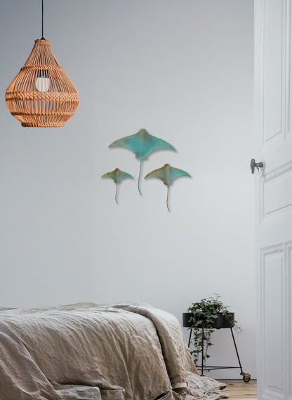 Stingray - Set of 3