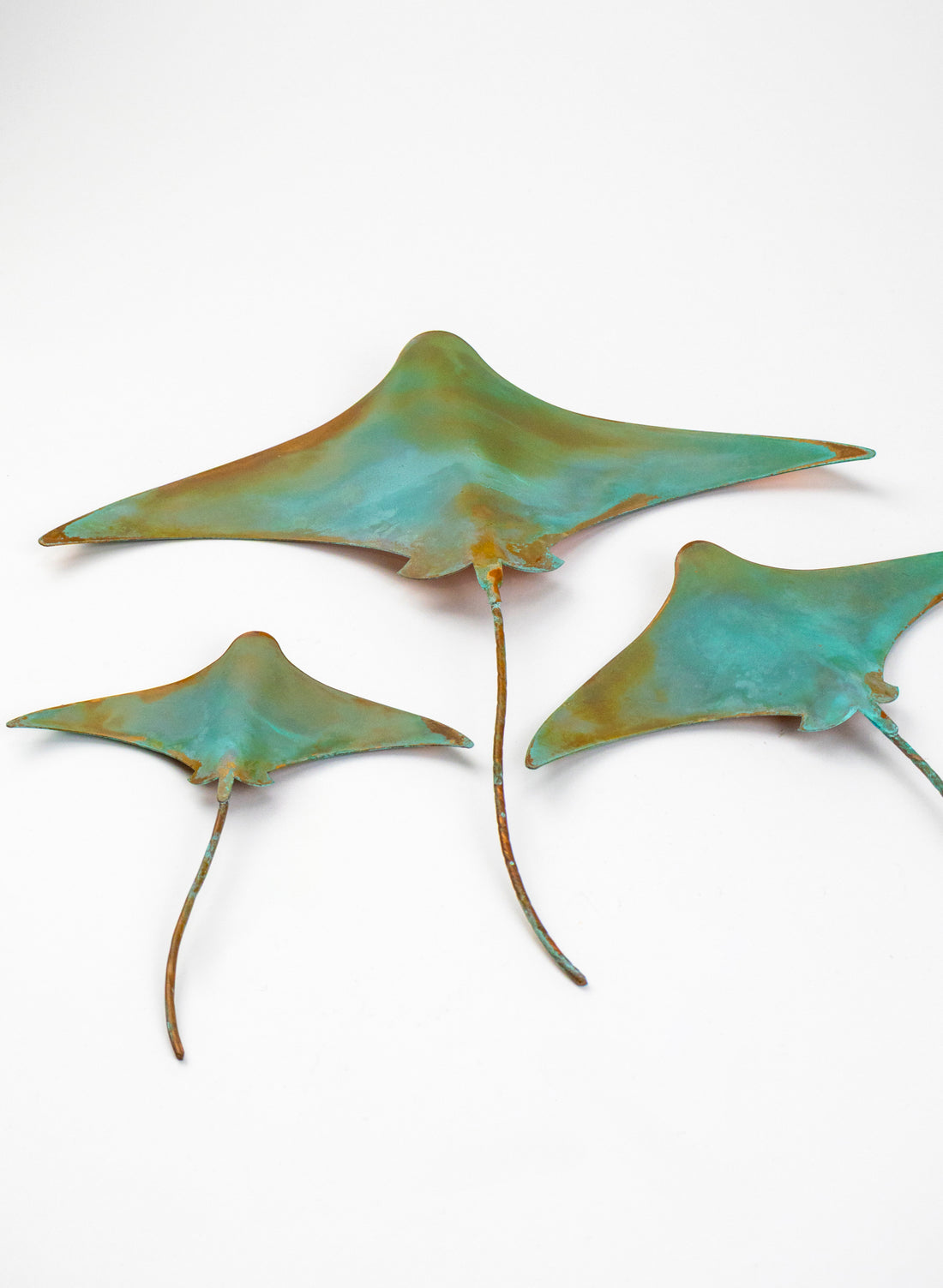Stingray - Set of 3
