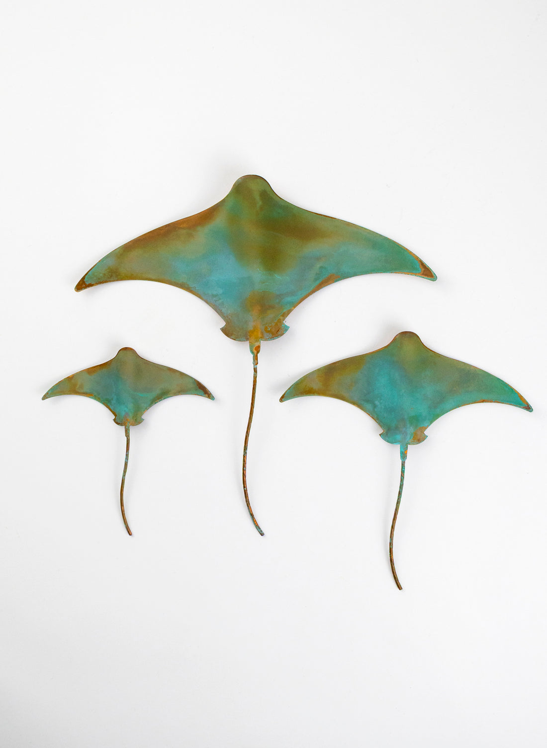 Stingray - Set of 3