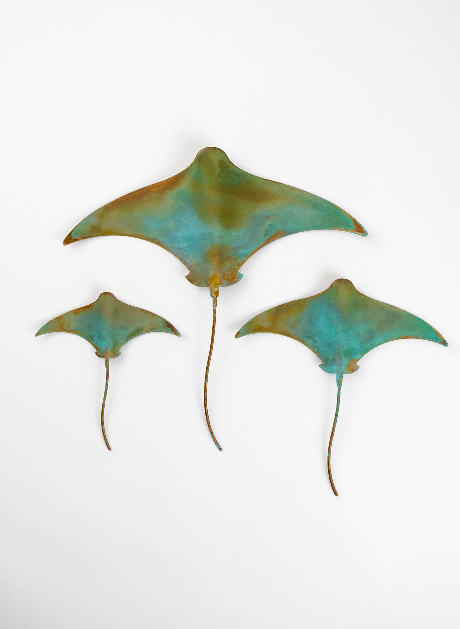 Stingray - Set of 3