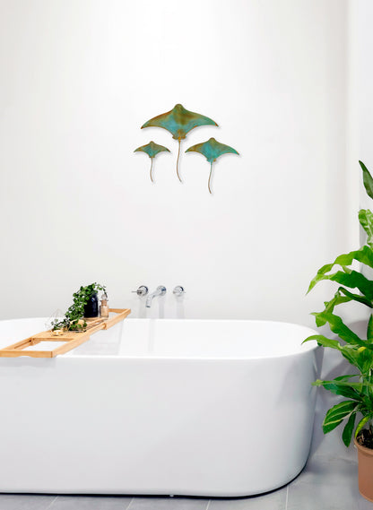 Stingray - Set of 3