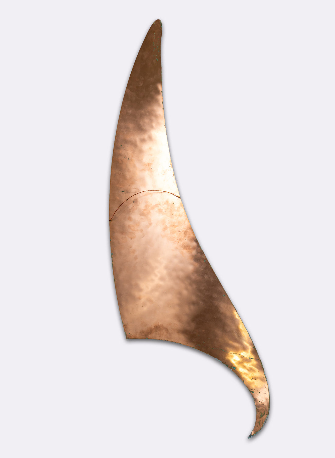 Orca Fin 