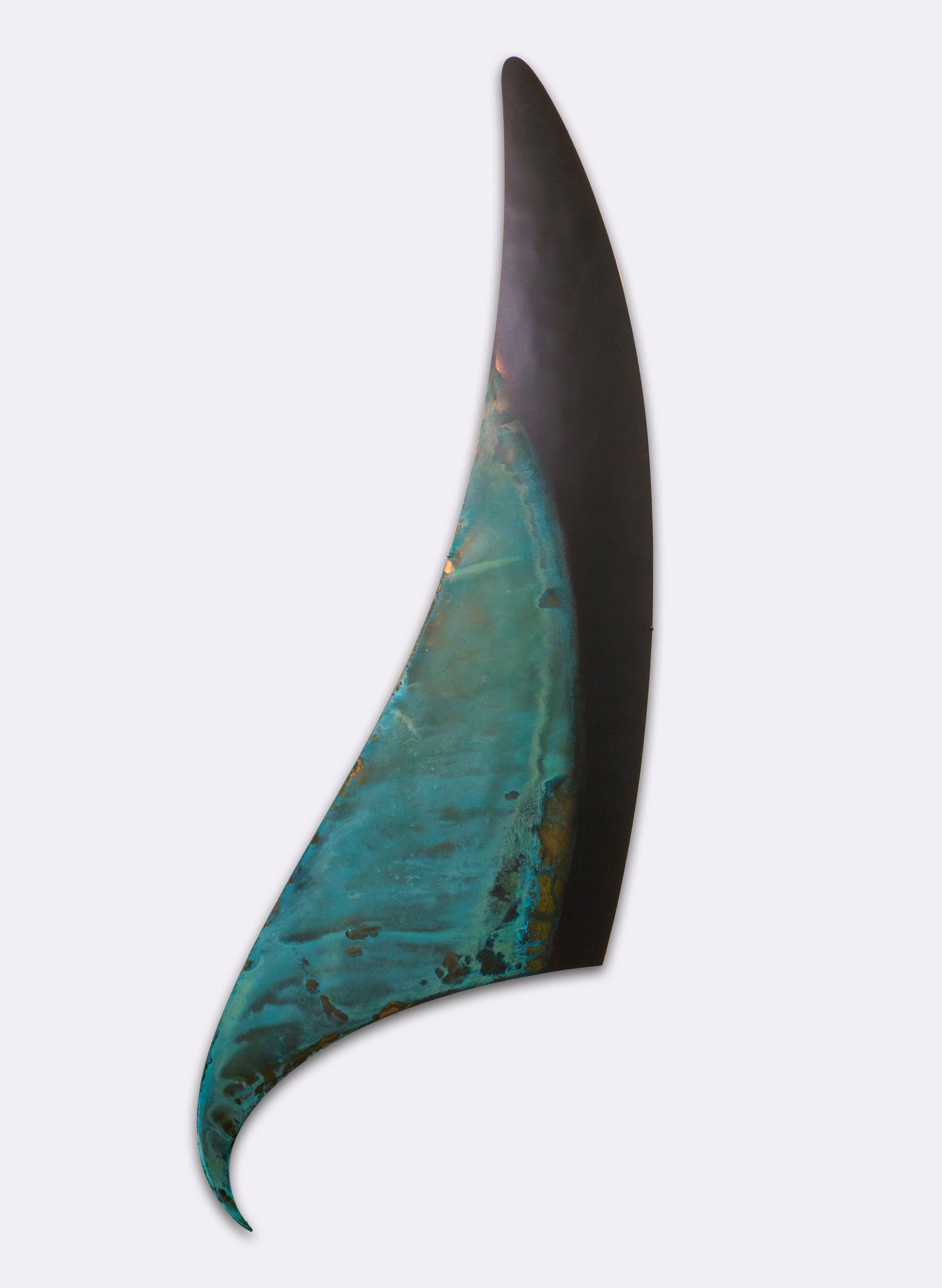 Orca Fin 