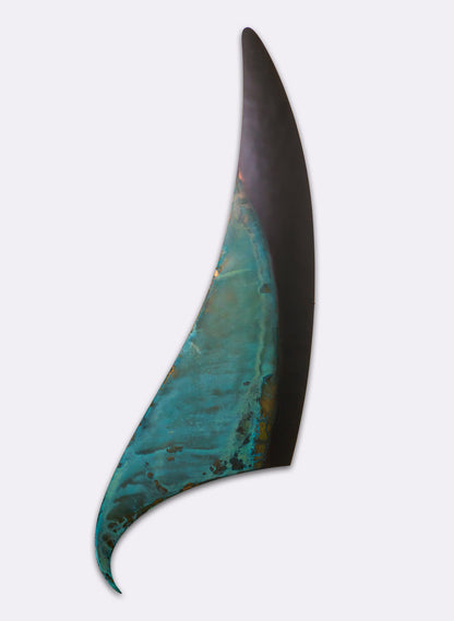 Orca Fin 