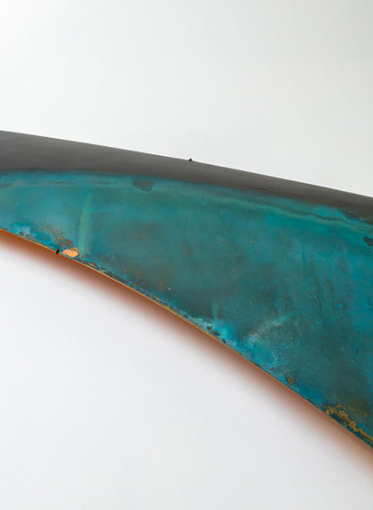 Orca Fin 
