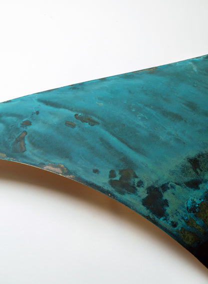 Orca Fin 