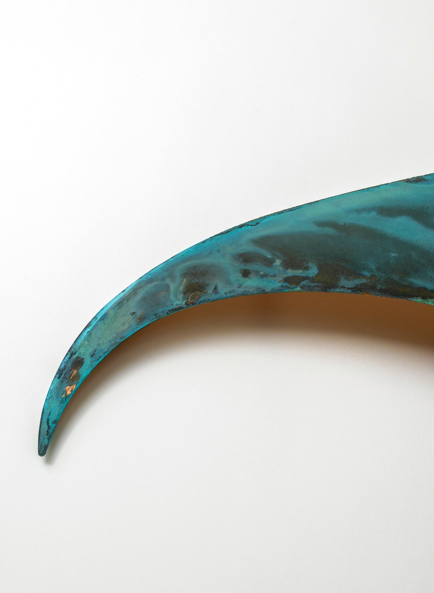 Orca Fin 