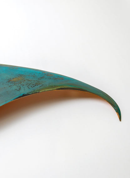 Orca Fin 