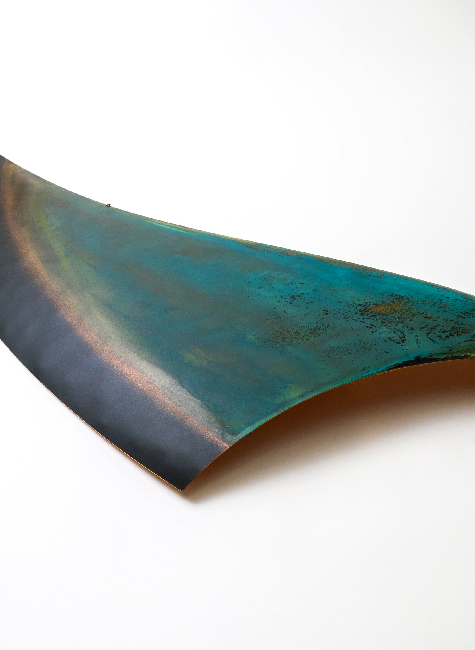 Orca Fin 
