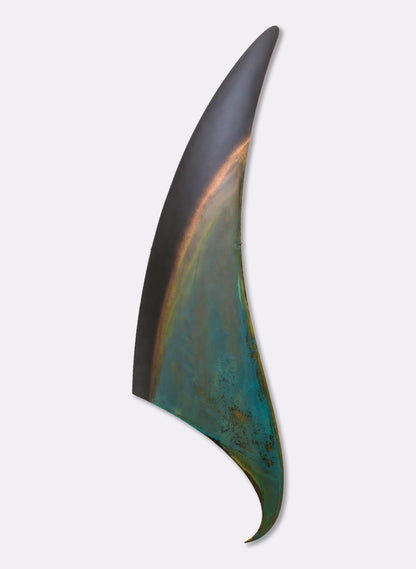 Orca Fin 