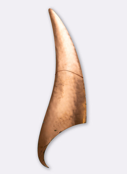 Orca Fin 