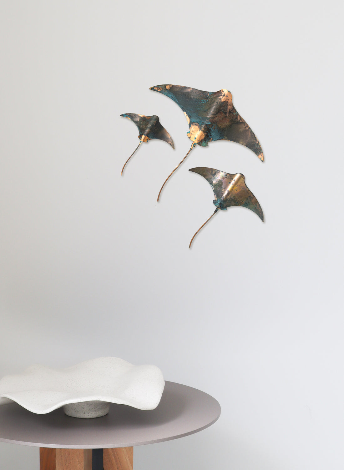 Stingray - Set of 3