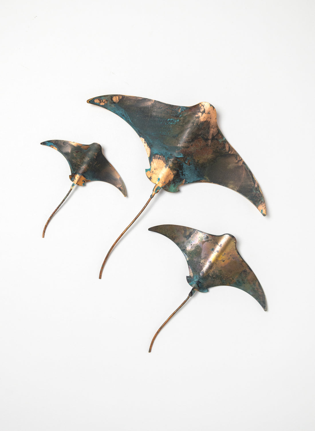 Stingray - Set of 3