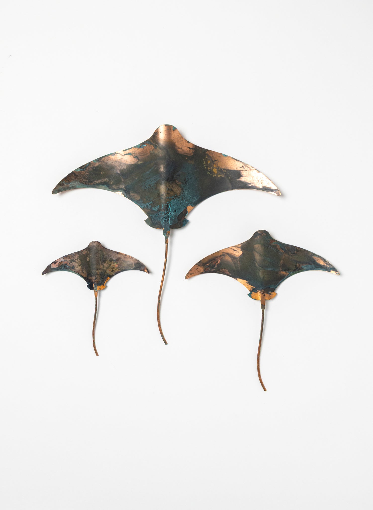 Stingray - Set of 3