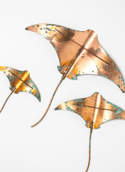 Stingray - Set of 3