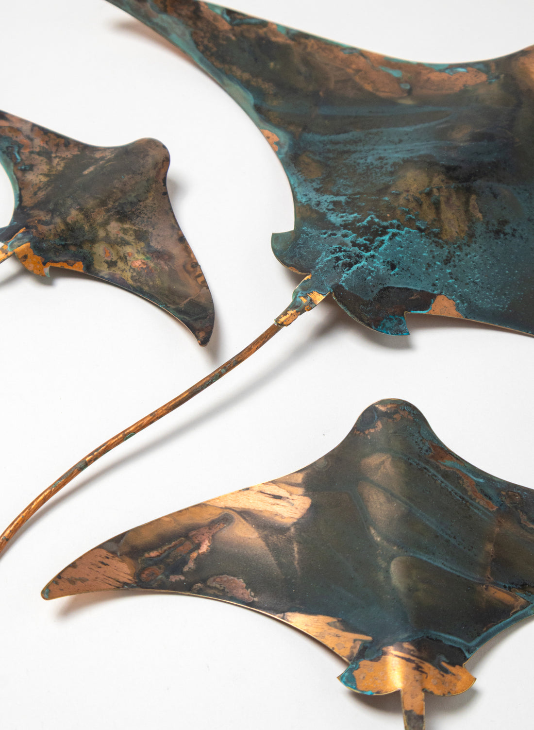 Stingray - Set of 3