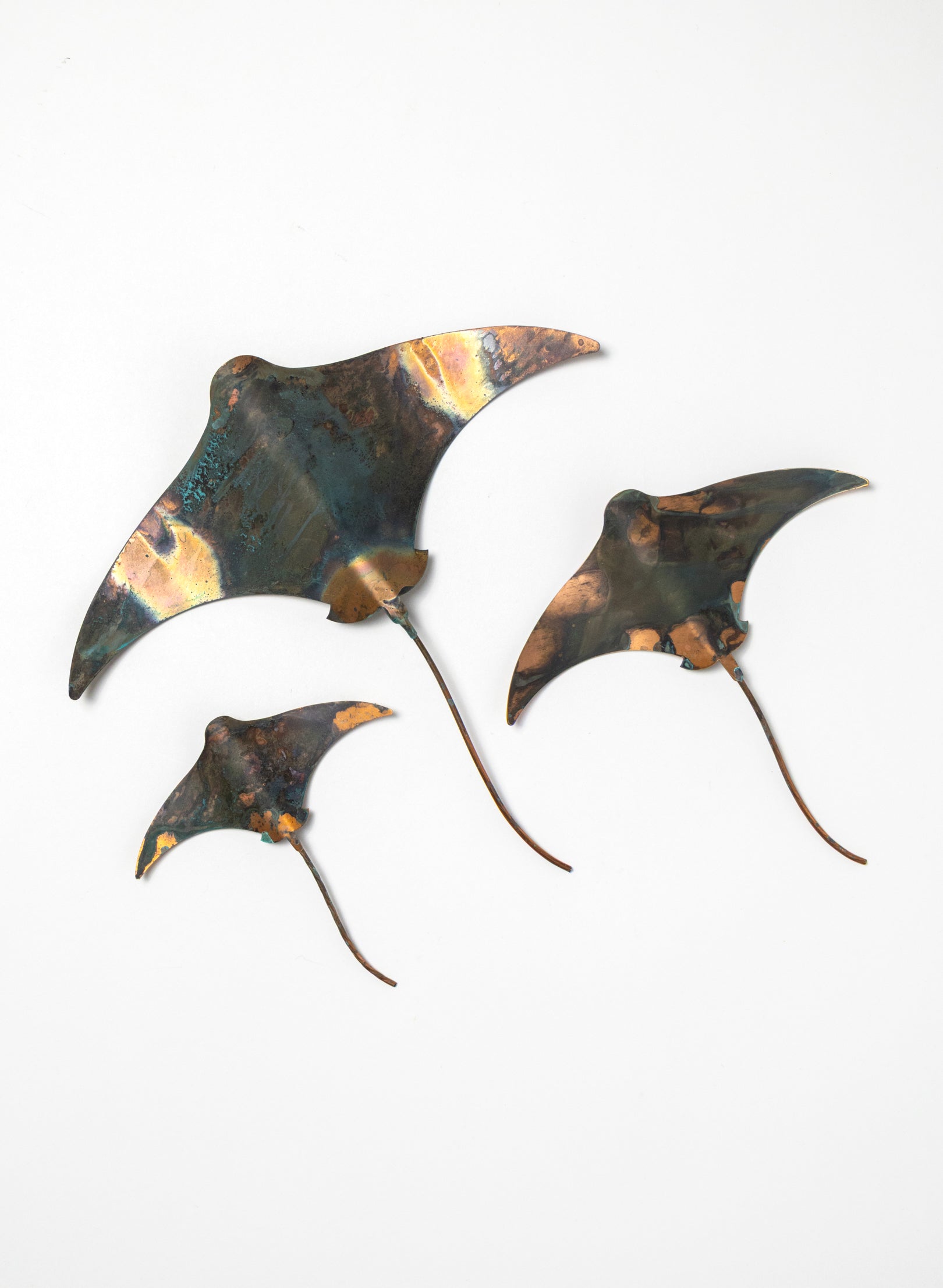 Stingray - Set of 3
