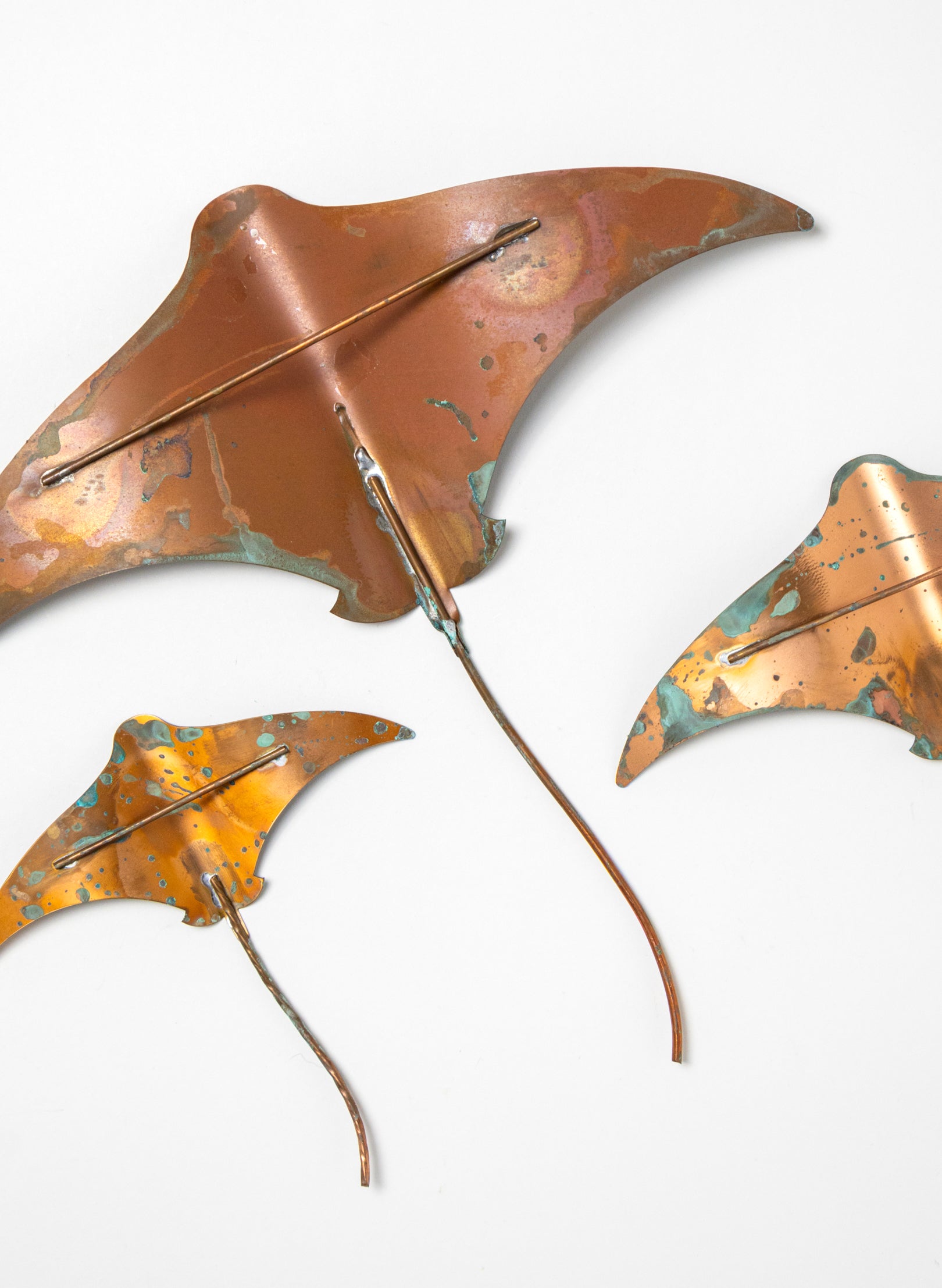 Stingray - Set of 3
