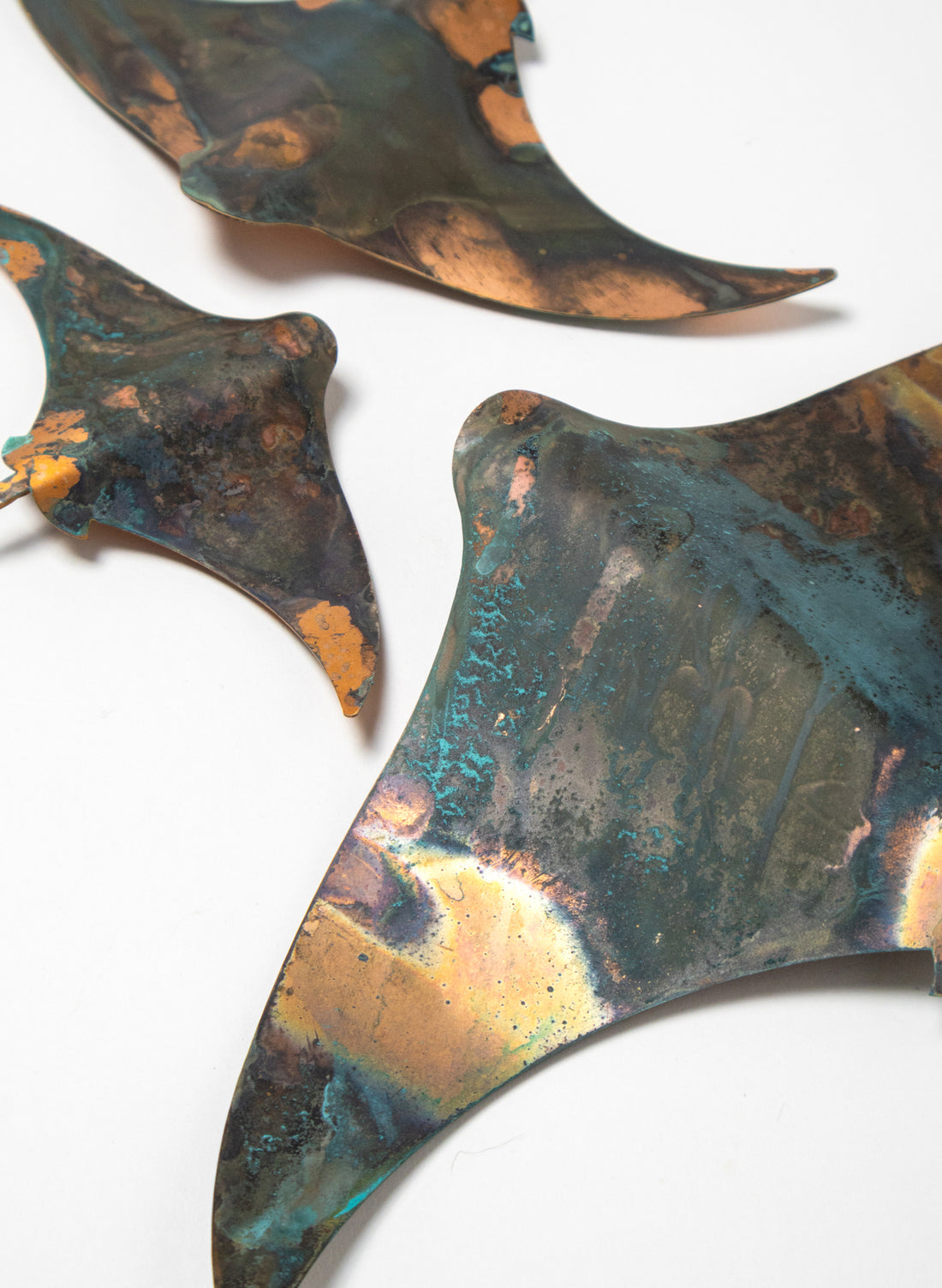 Stingray - Set of 3