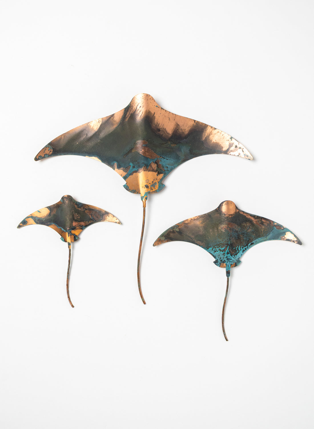 Stingray - Set of 3