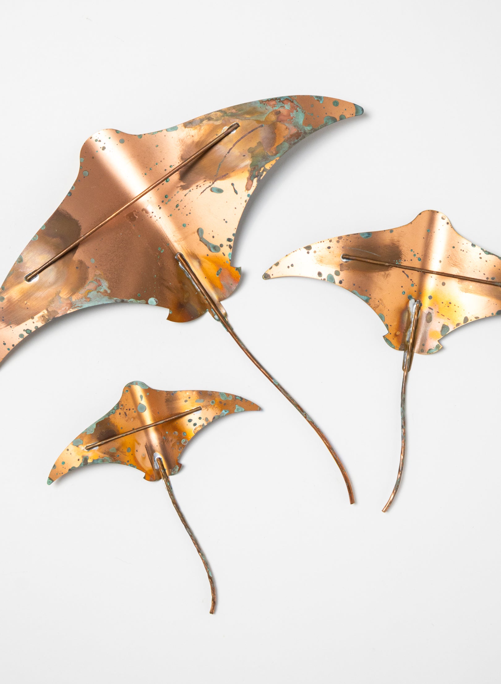 Stingray - Set of 3
