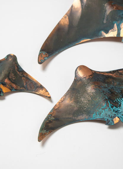 Stingray - Set of 3