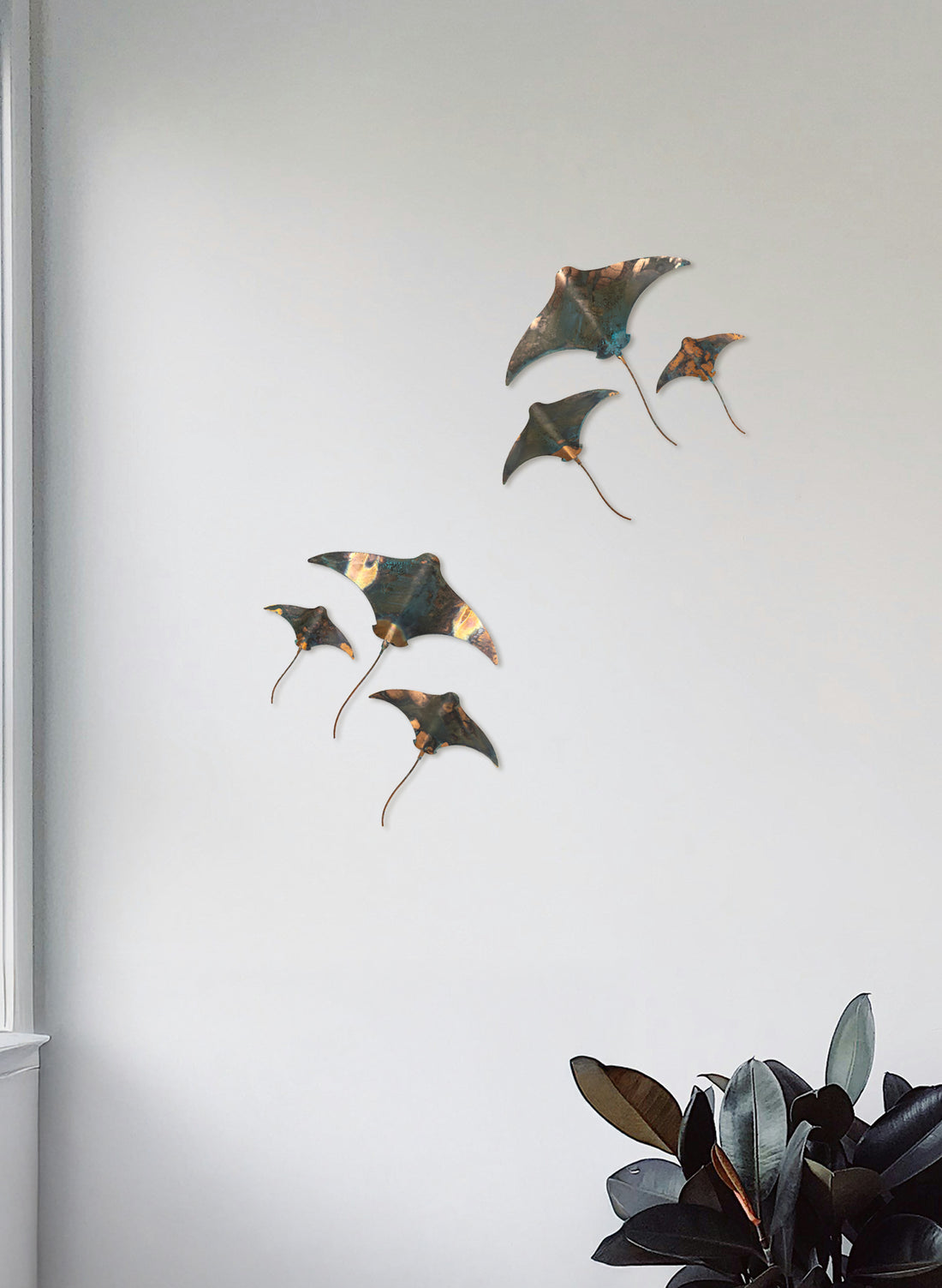 Stingray - Set of 3