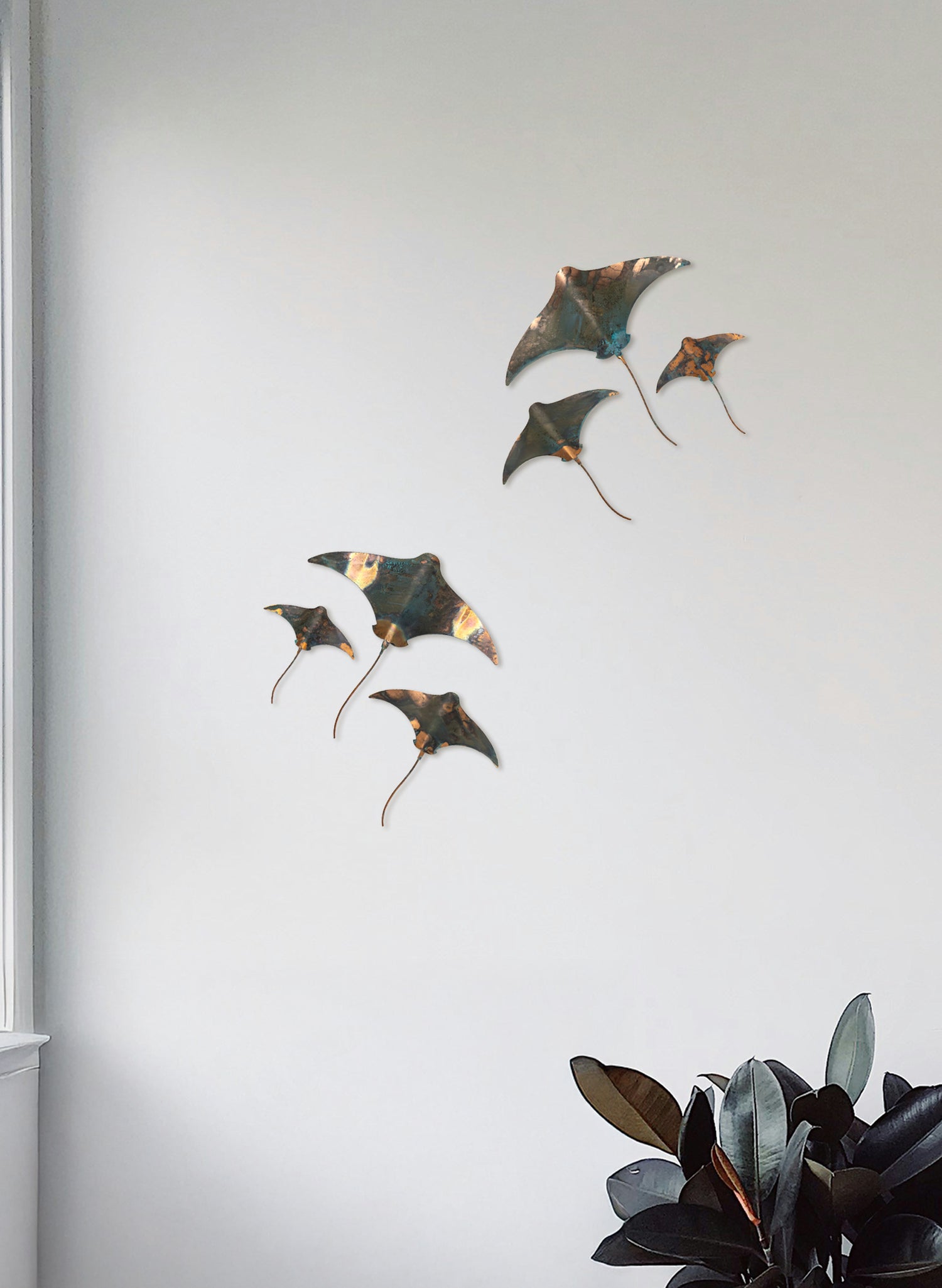 Stingray - Set of 3