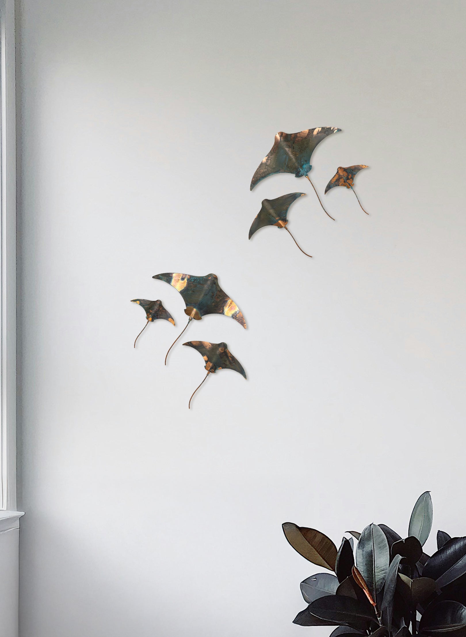 Stingray - Set of 3