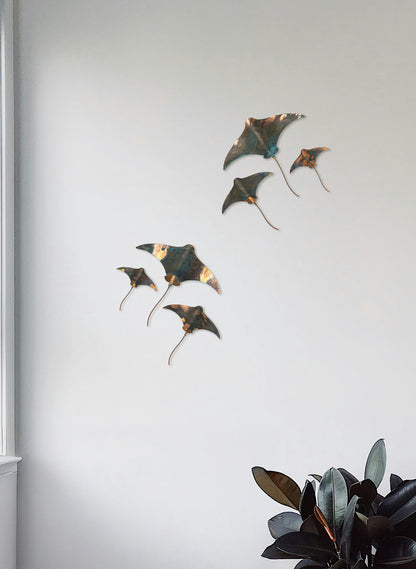 Stingray - Set of 3