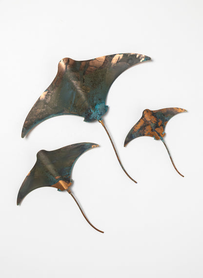 Stingray - Set of 3