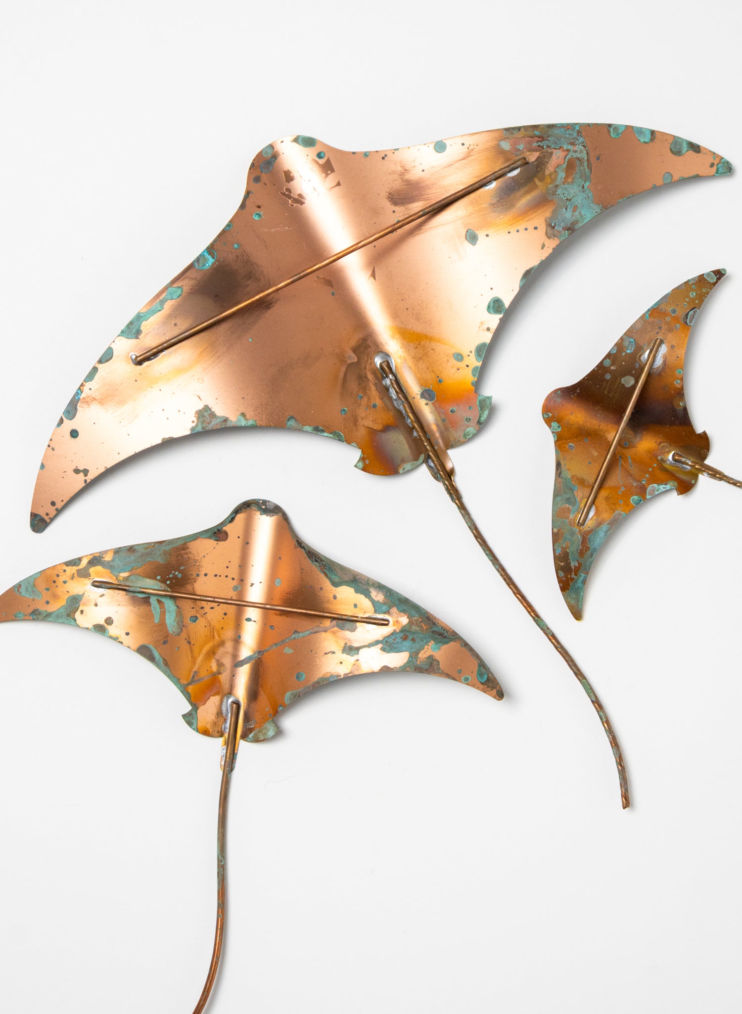 Stingray - Set of 3