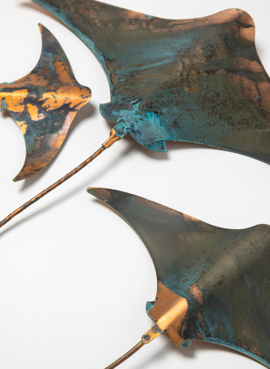 Stingray - Set of 3